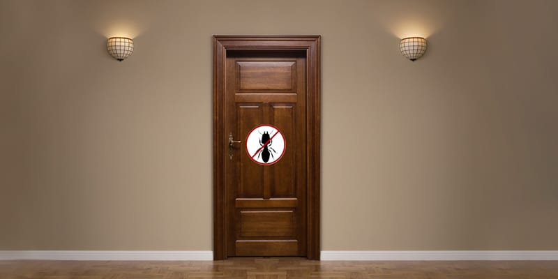 Termite Proof